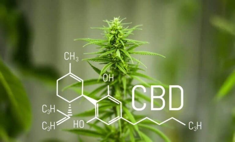 Benefits of CBD Oil