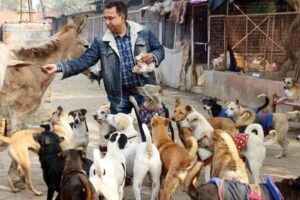 Dog Shelter in Delhi