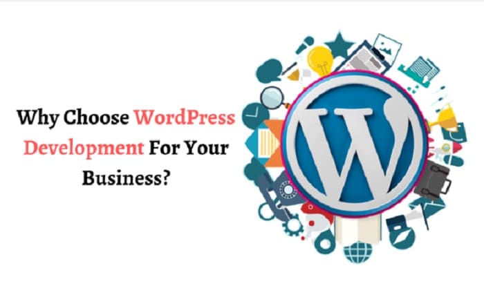 Why Choose WordPress Development For Your Business